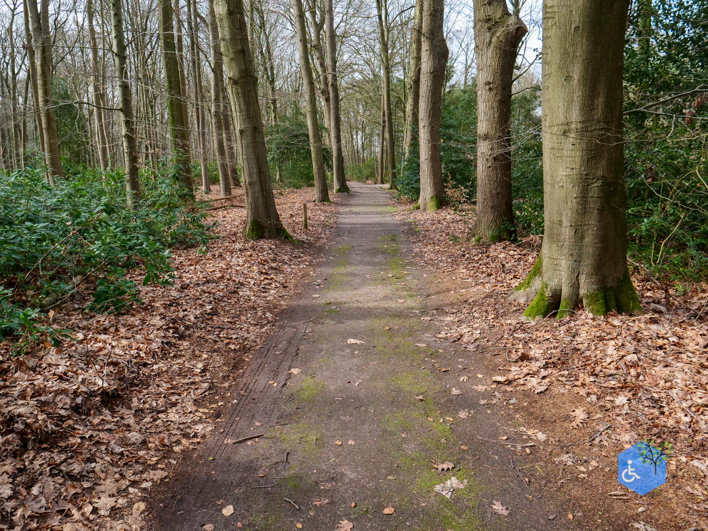 Diessen_Annaninas_Rust_06-03-2026-43