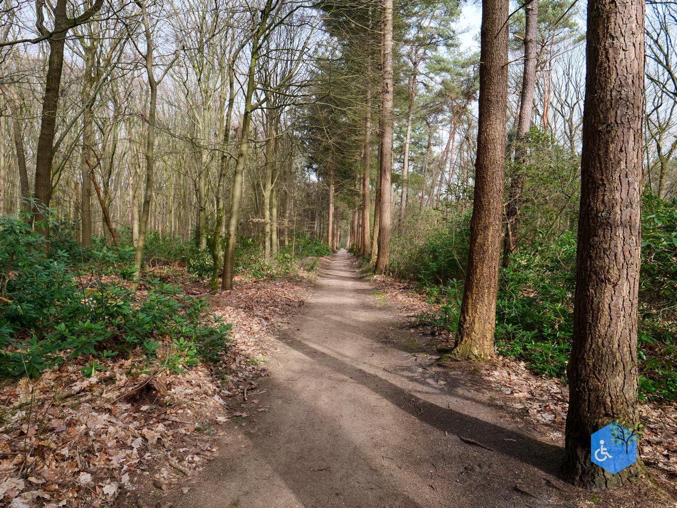 Diessen_Annaninas_Rust_06-03-2026-8