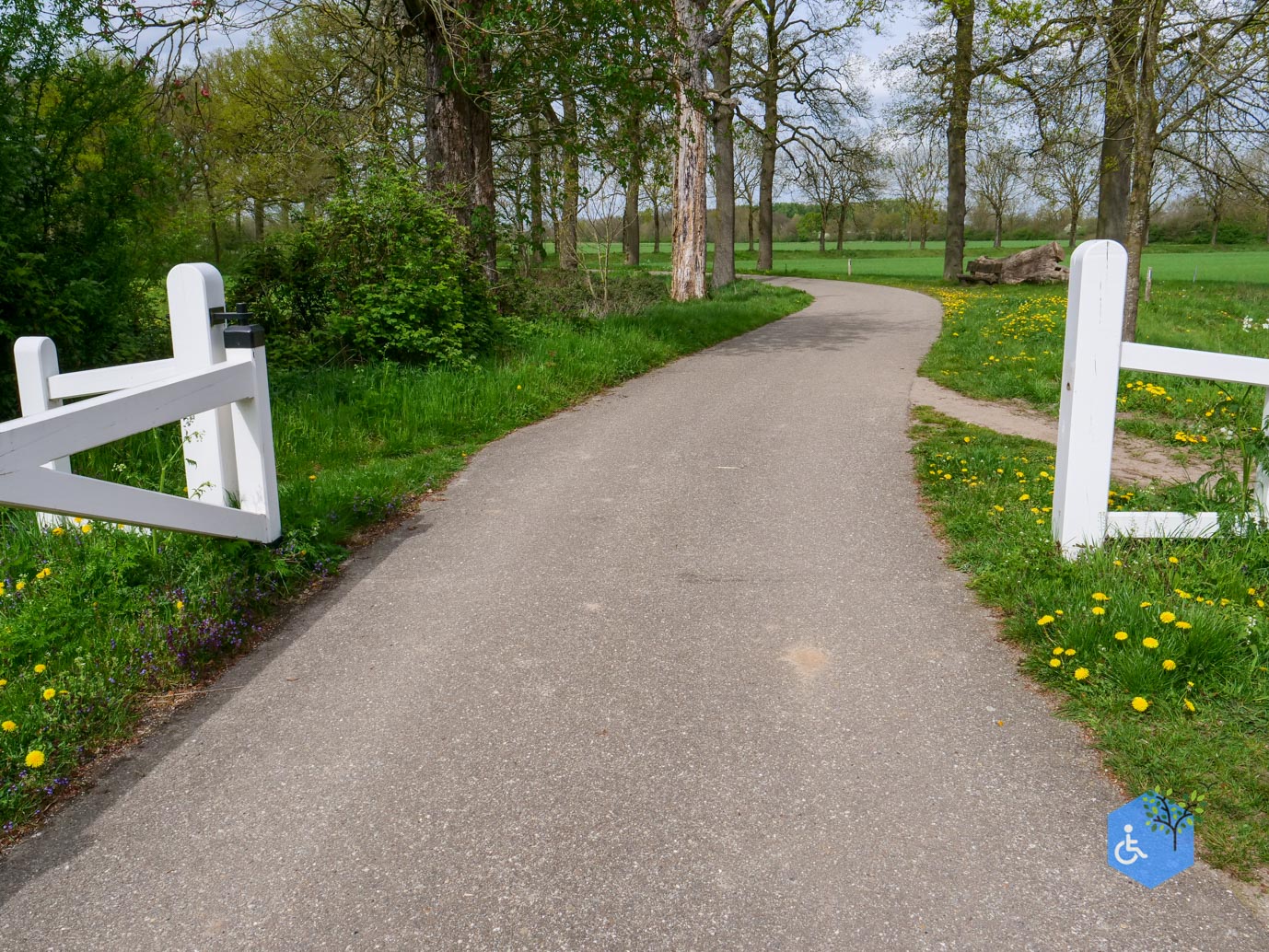 Mill_Rolstoelroute_Landgoed_Tongelaar_17-04-2026-19