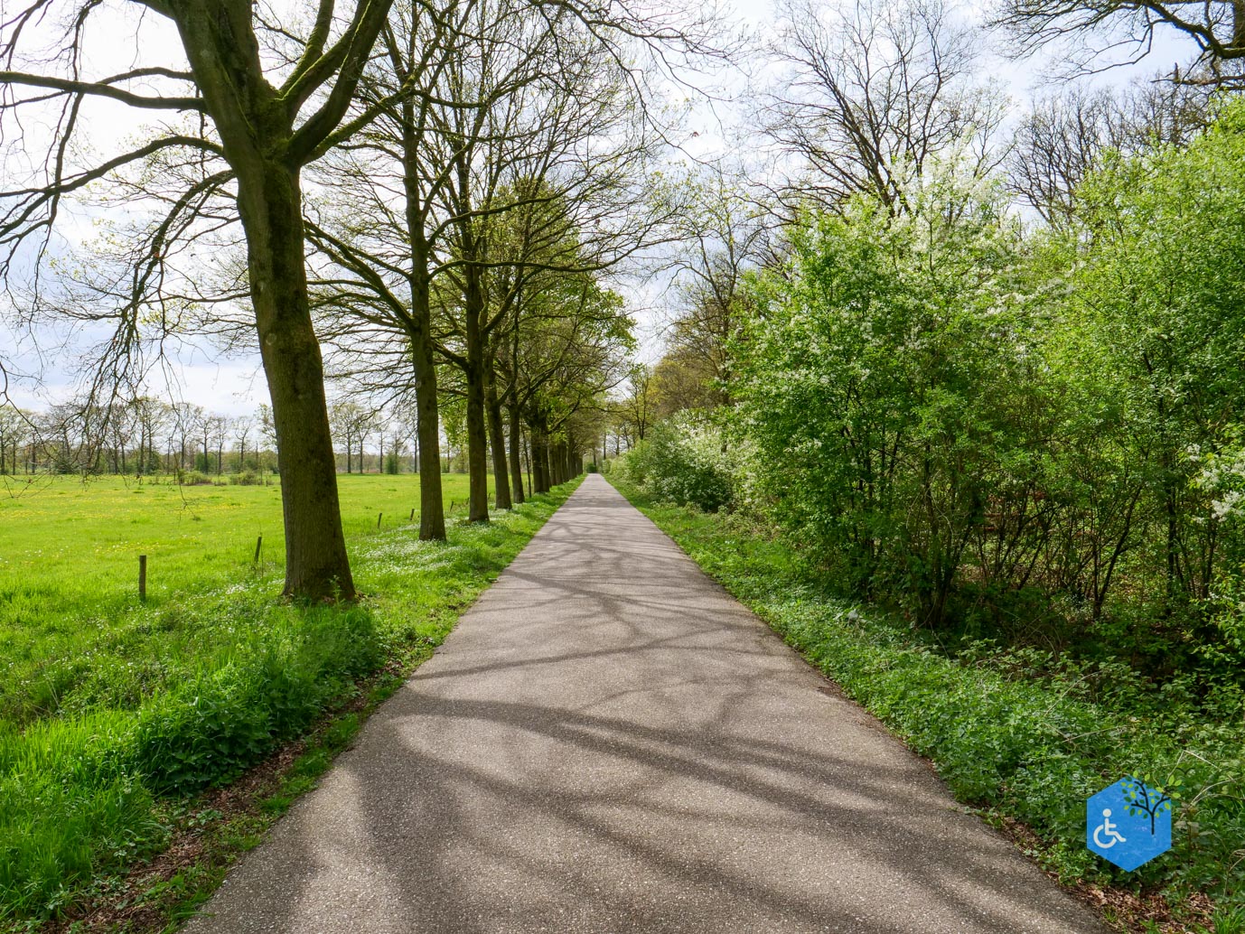Mill_Rolstoelroute_Landgoed_Tongelaar_17-04-2026-28