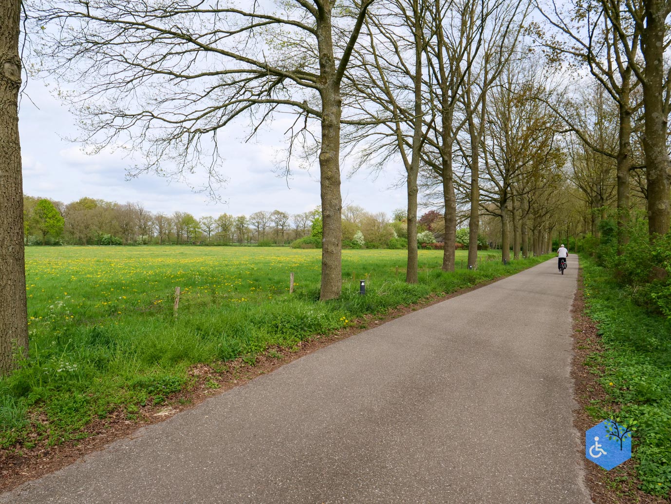 Mill_Rolstoelroute_Landgoed_Tongelaar_17-04-2026-8