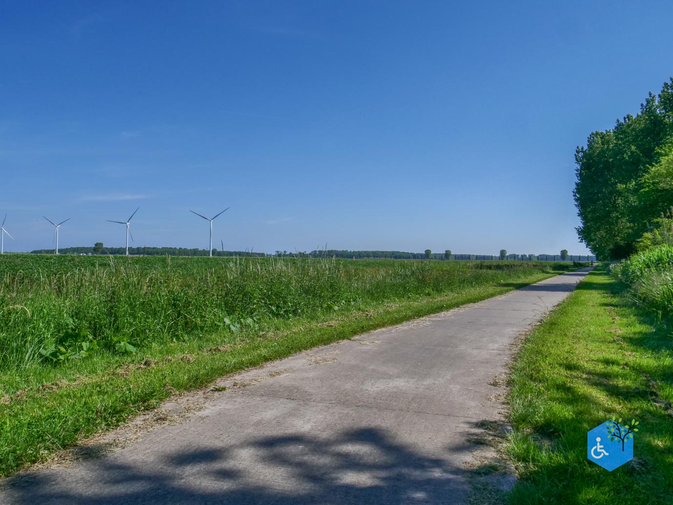Almere_Scheepswrakkenroute_Pampushout_22-05-2026-20