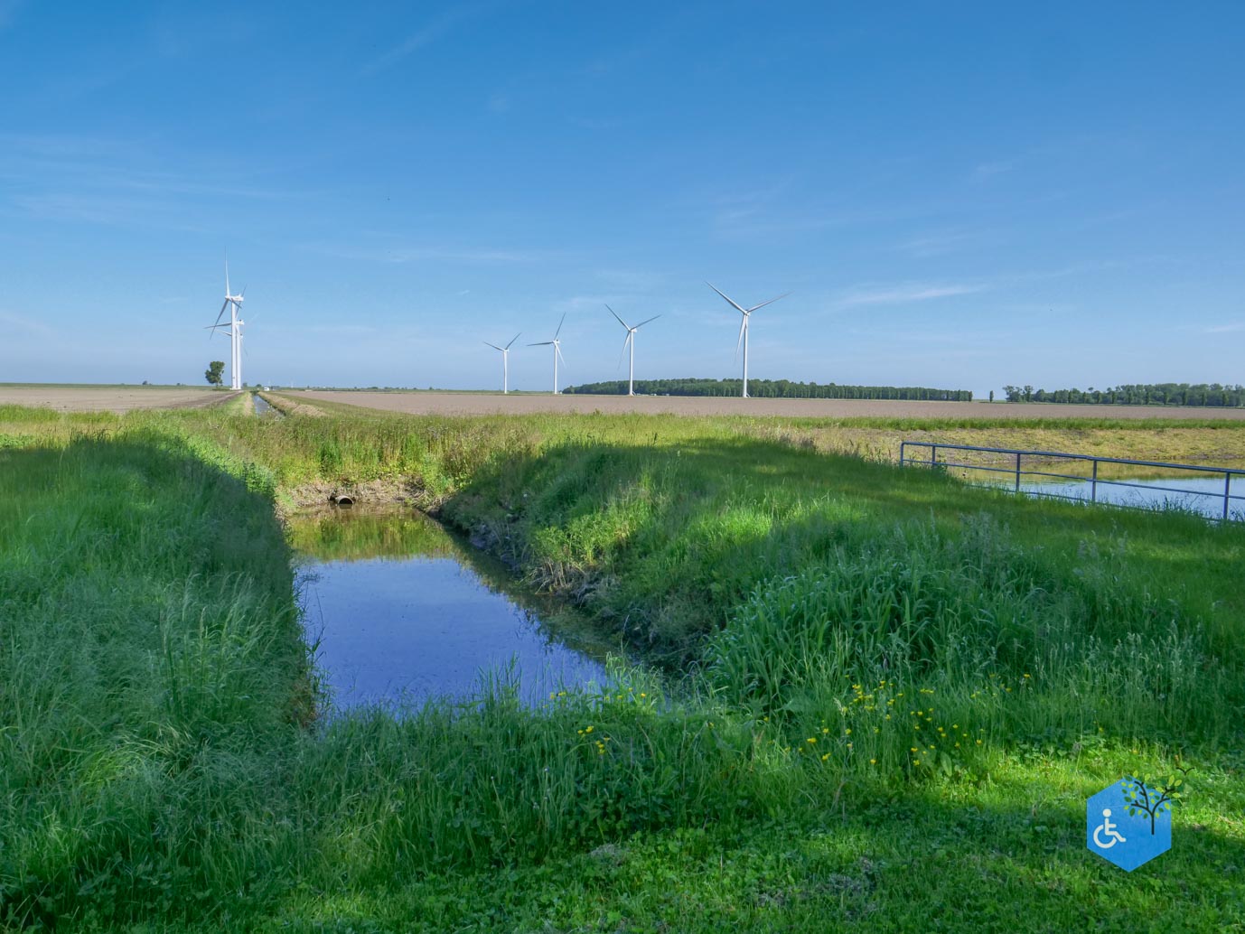 Almere_Scheepswrakkenroute_Pampushout_22-05-2026-21