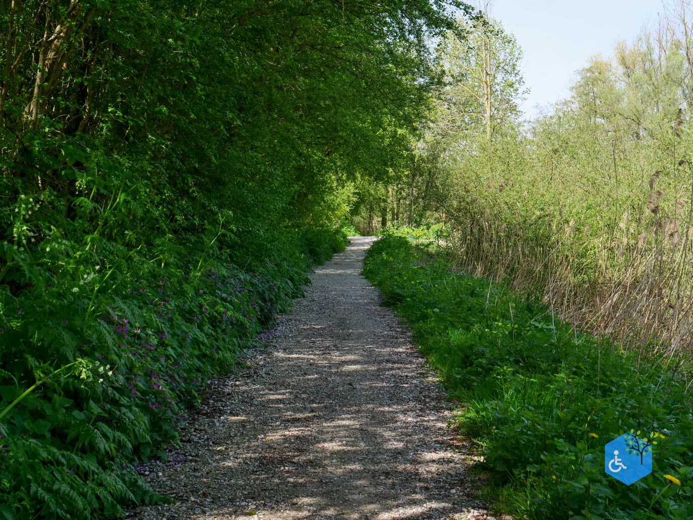 Druten_Het_Laakbos_17-04-2026-10