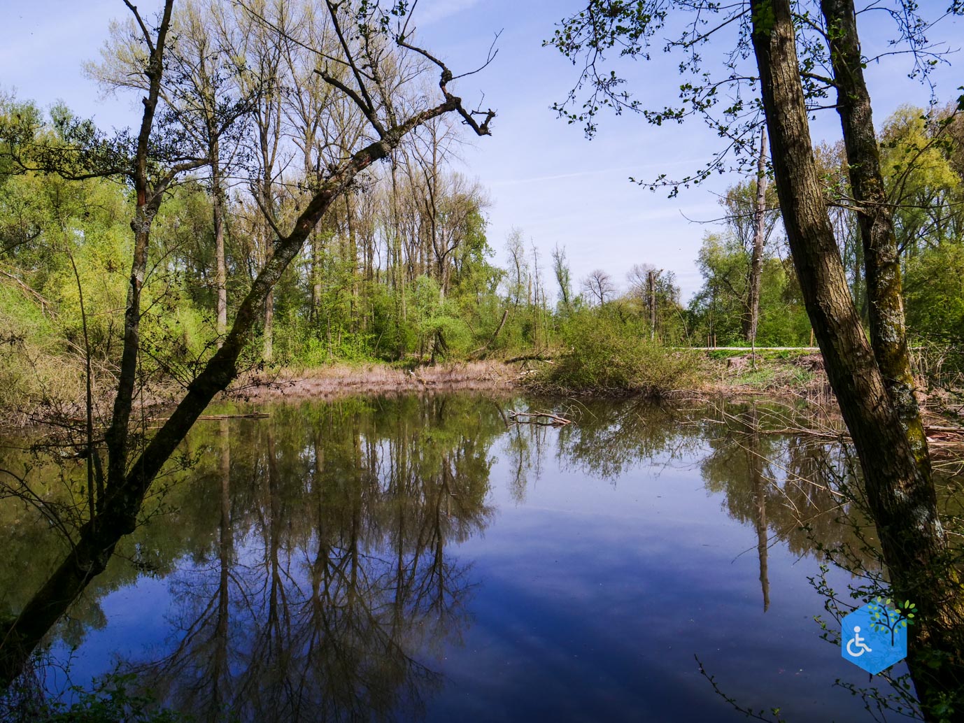 Druten_Het_Laakbos_17-04-2026-15