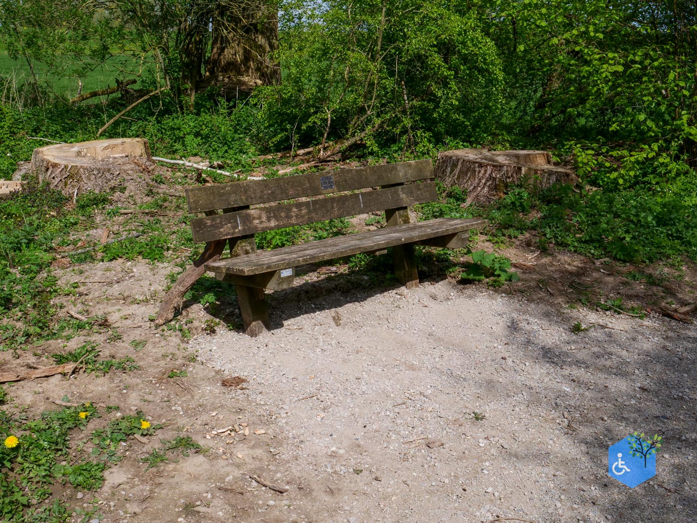Druten_Het_Laakbos_17-04-2026-19