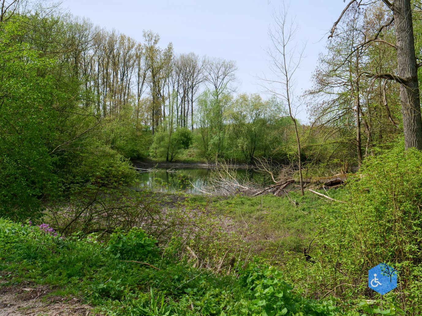 Druten_Het_Laakbos_17-04-2026-27
