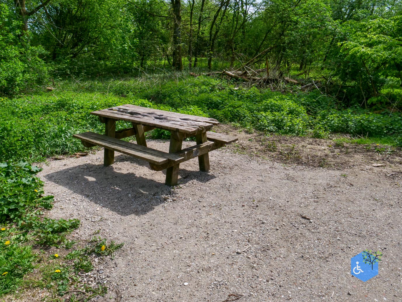 Druten_Het_Laakbos_17-04-2026-30