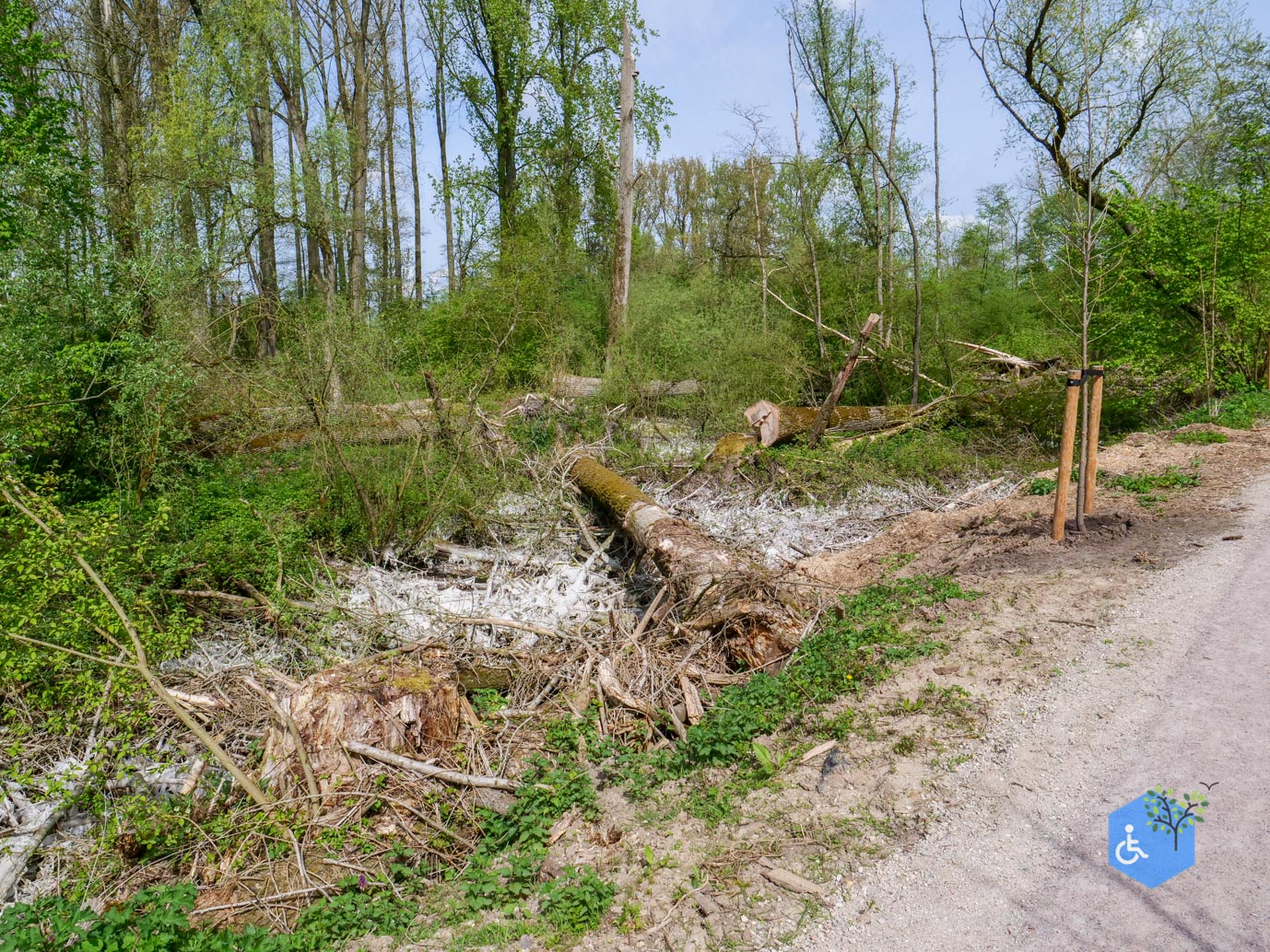 Druten_Het_Laakbos_17-04-2026-34