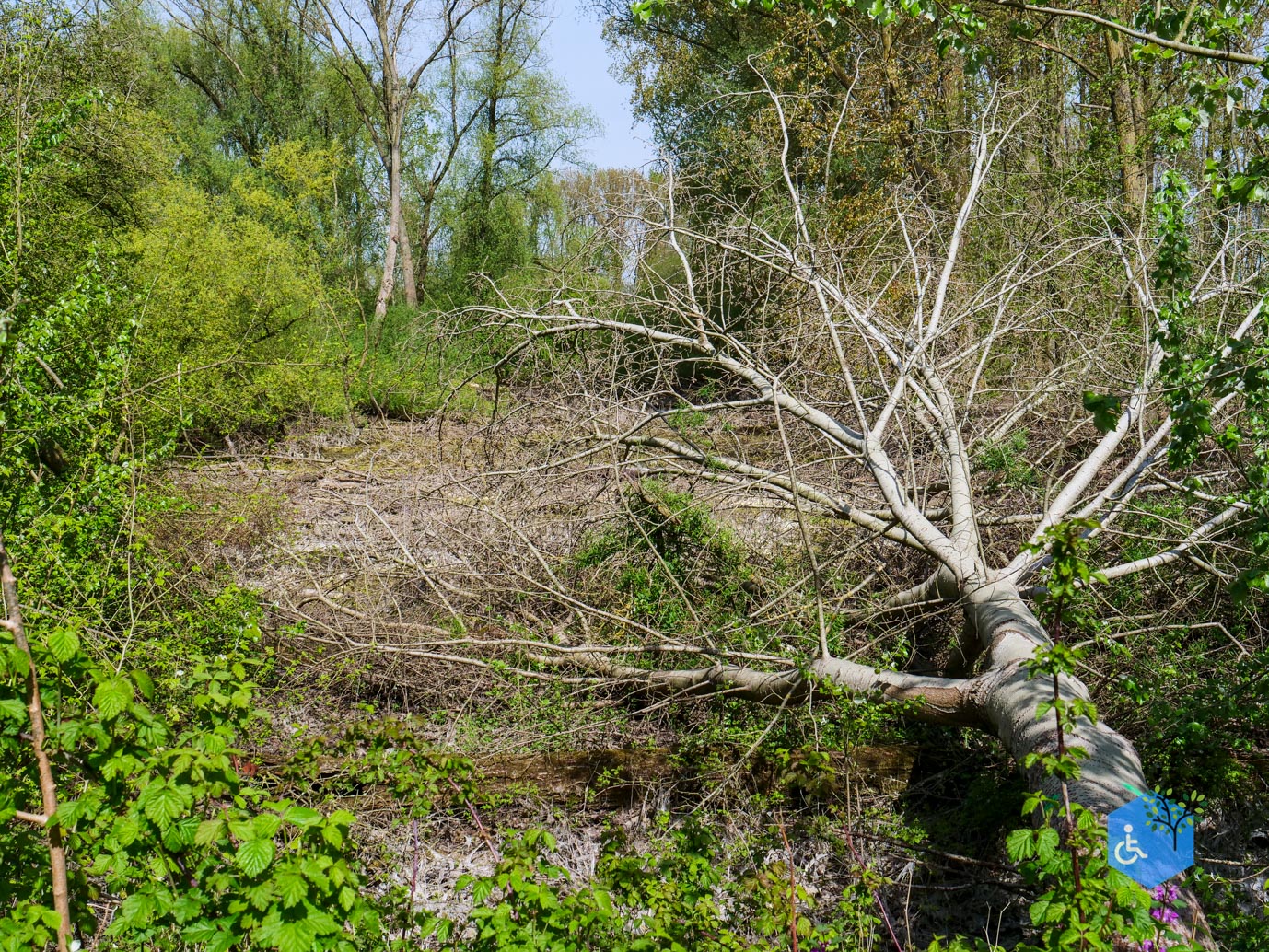 Druten_Het_Laakbos_17-04-2026-8