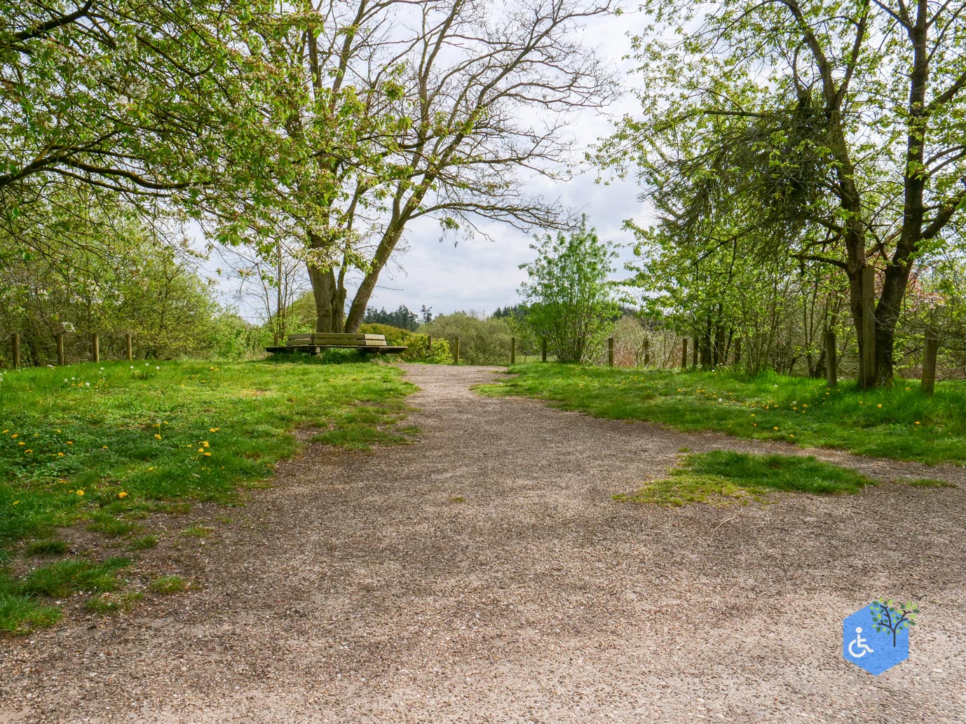 Heesch_Arboretum_Heesch_17-04-2026-21