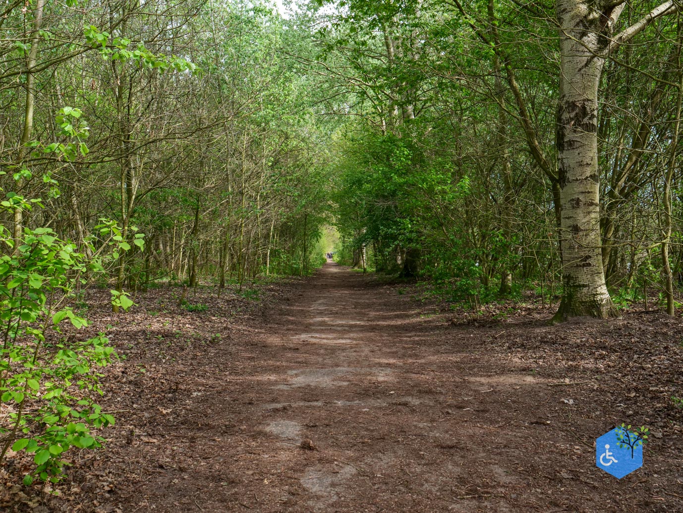 Heesch_Arboretum_Heesch_17-04-2026-24