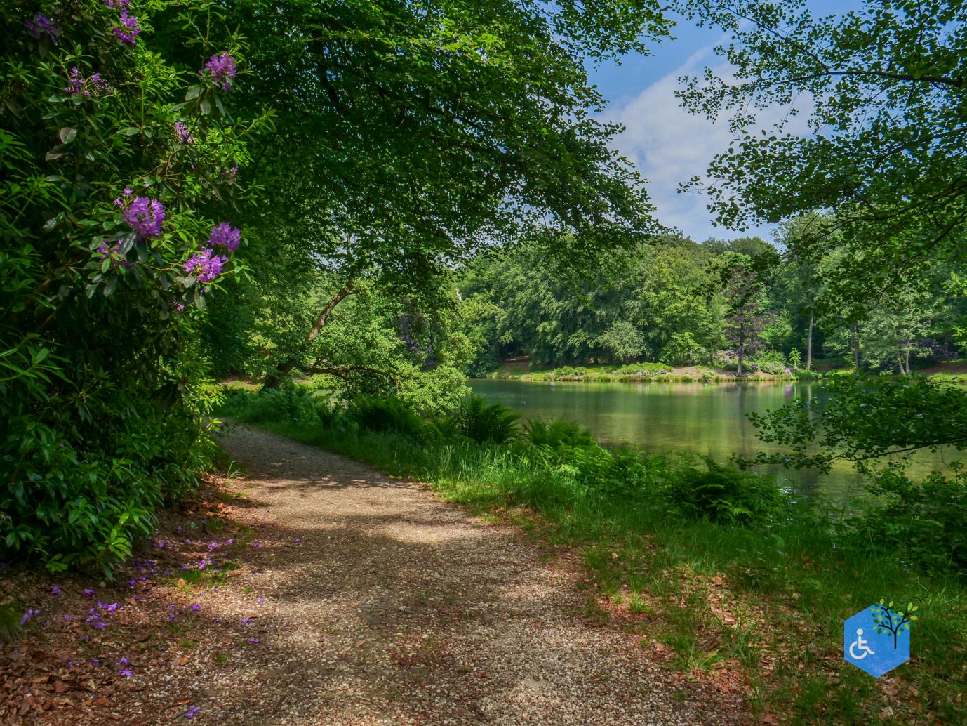 Rozendaal_Kasteelpark_Rosendael_29-05-2026-52