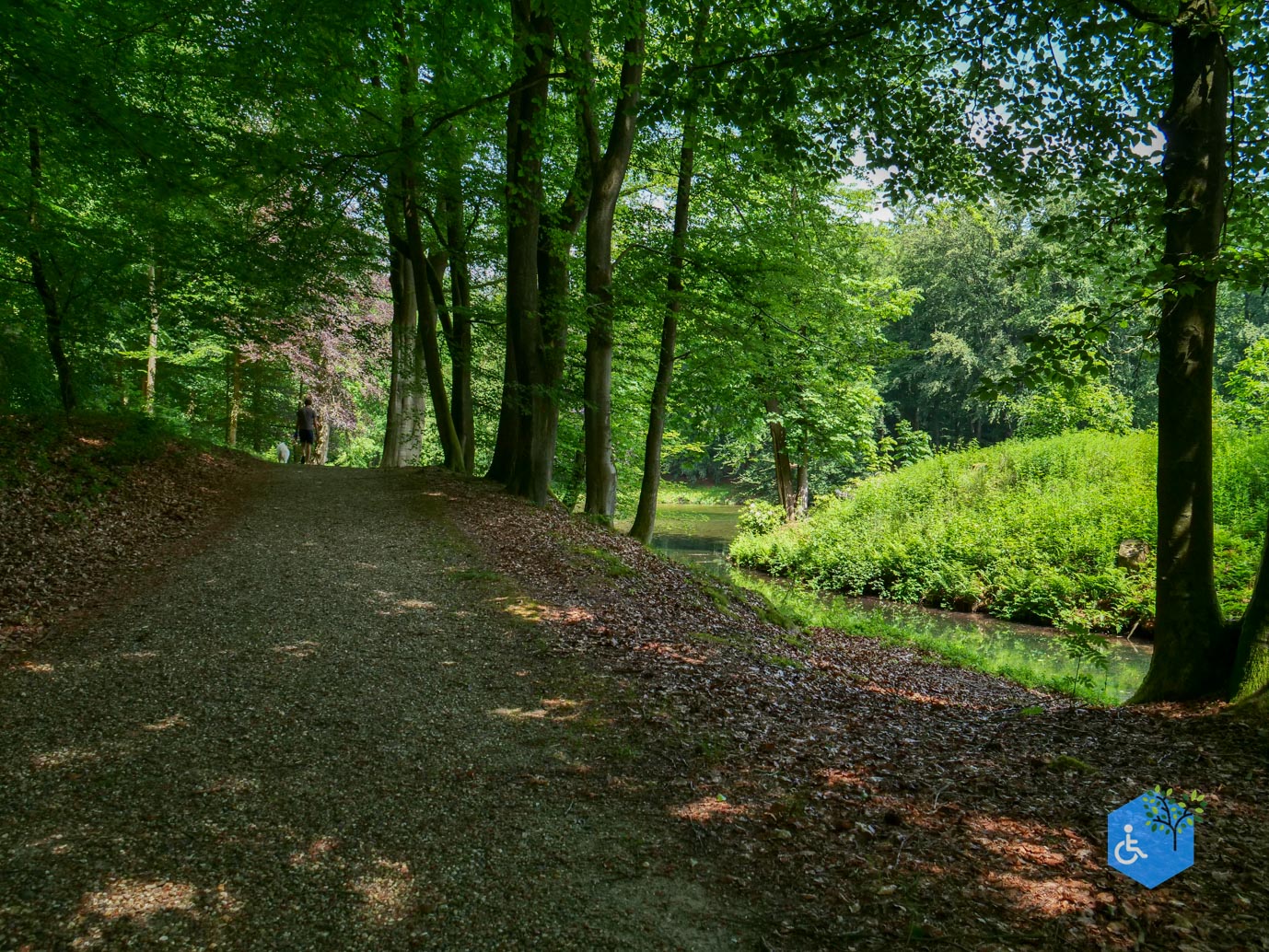 Rozendaal_Kasteelpark_Rosendael_29-05-2026-55