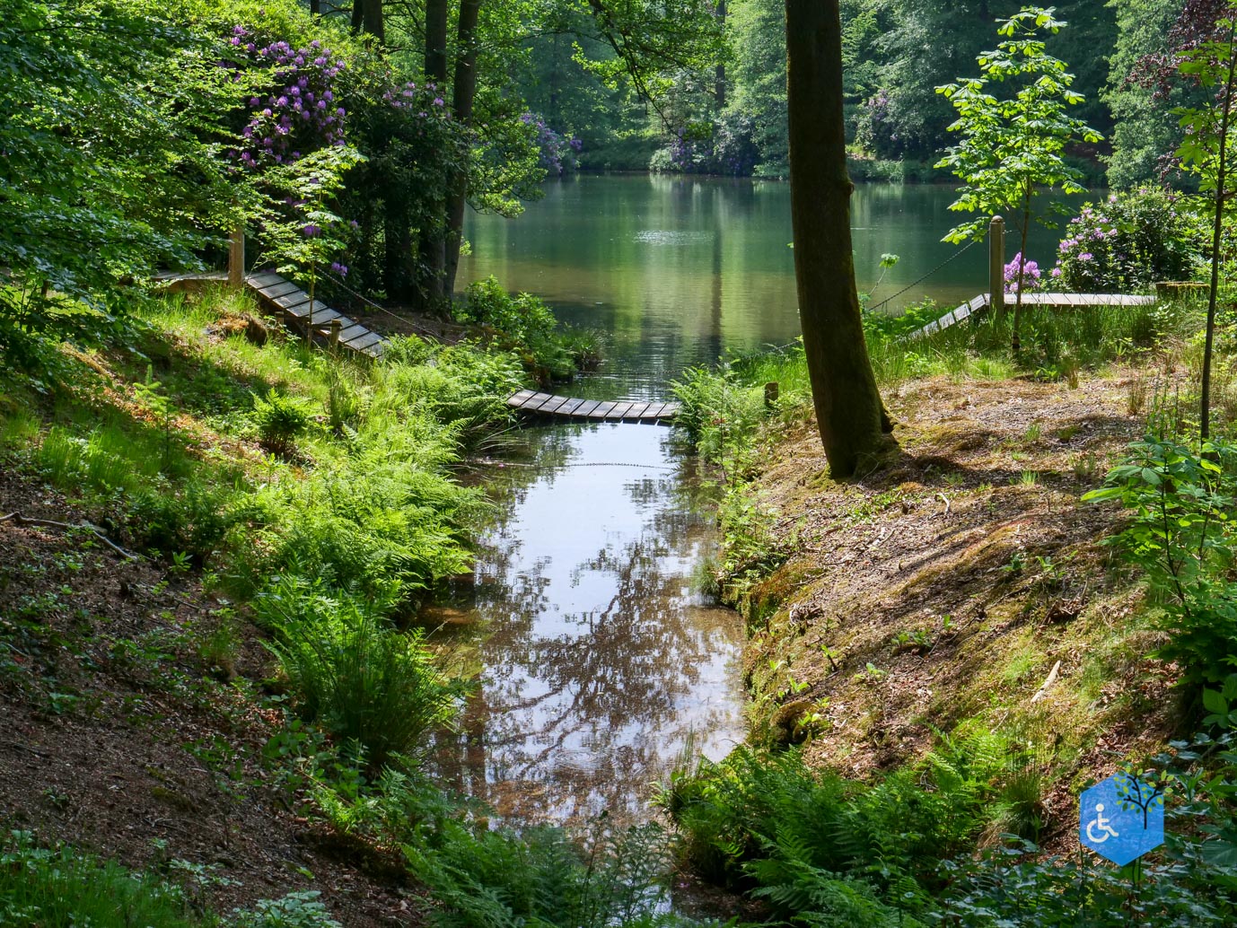 Rozendaal_Kasteelpark_Rosendael_29-05-2026-63