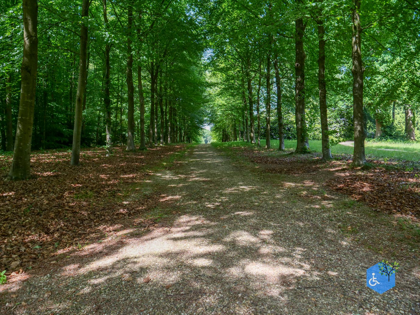 Rozendaal_Kasteelpark_Rosendael_lang_29-05-2026-41