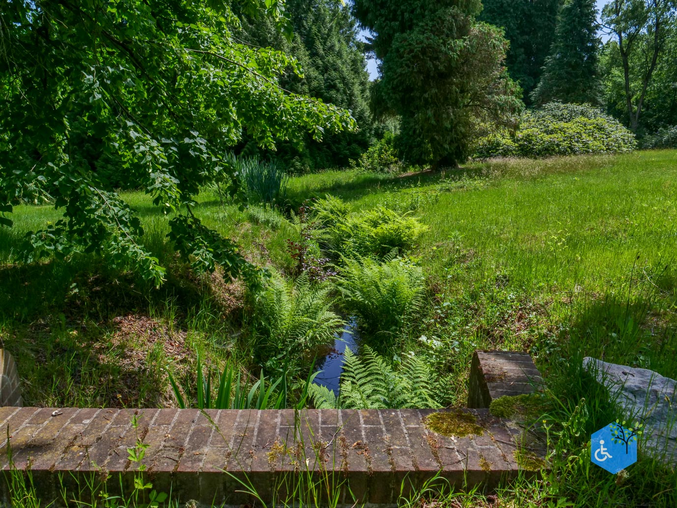 Rozendaal_Kasteelpark_Rosendael_lang_29-05-2026-43