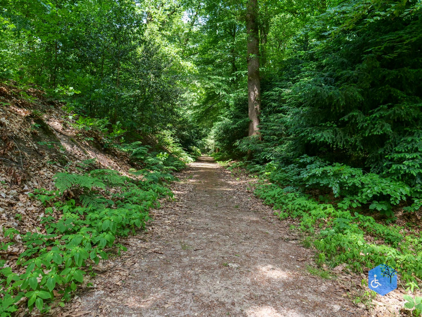 Rozendaal_Kasteelpark_Rosendael_lang_29-05-2026-83