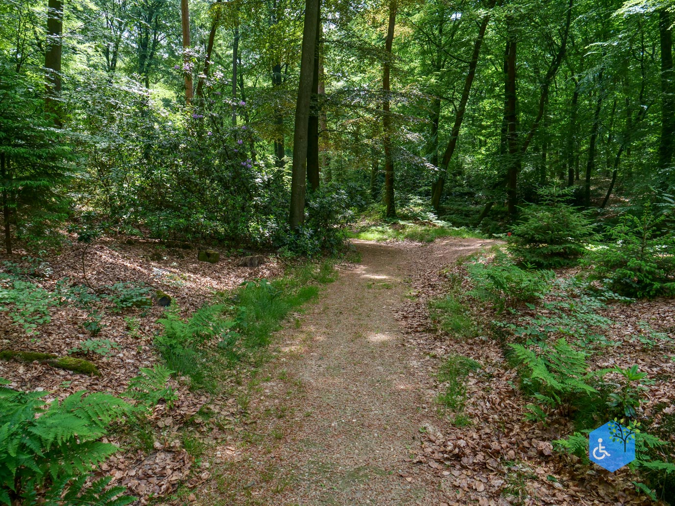 Rozendaal_Kasteelpark_Rosendael_lang_29-05-2026-85