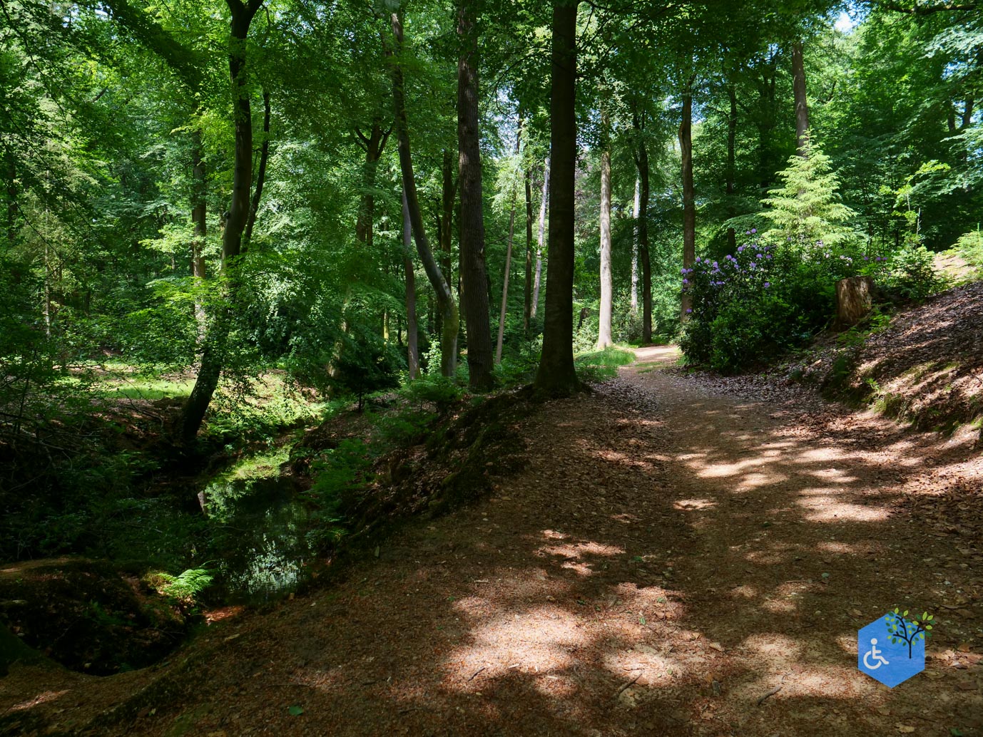 Rozendaal_Kasteelpark_Rosendael_lang_29-05-2026-87