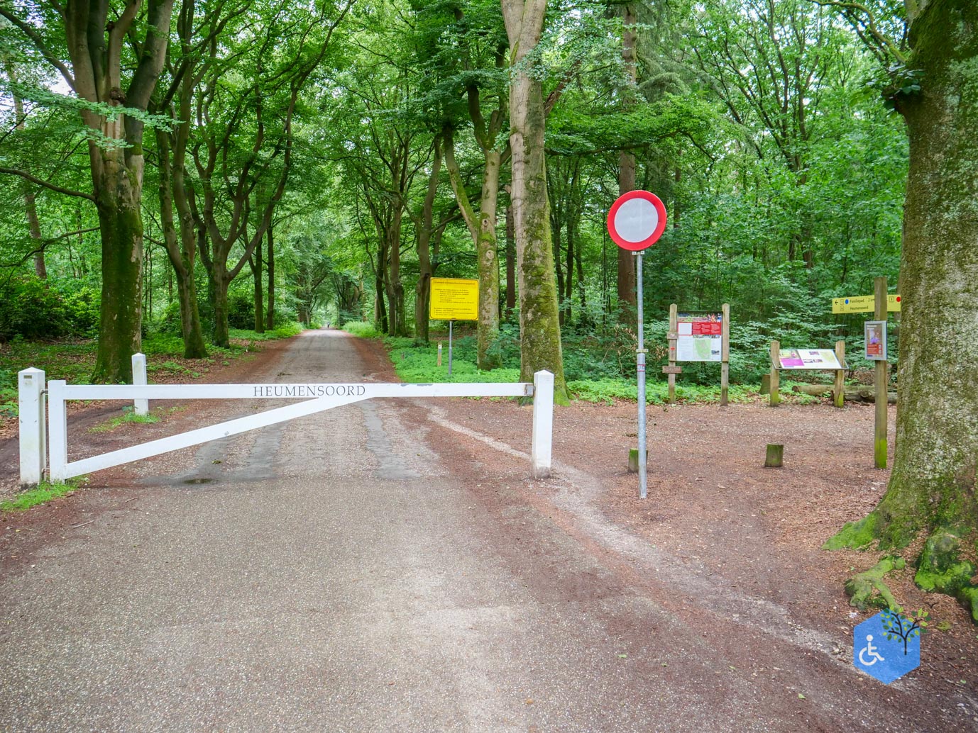 Malden_Familiepad_Heumensoord_06-06-2026.jpg-2