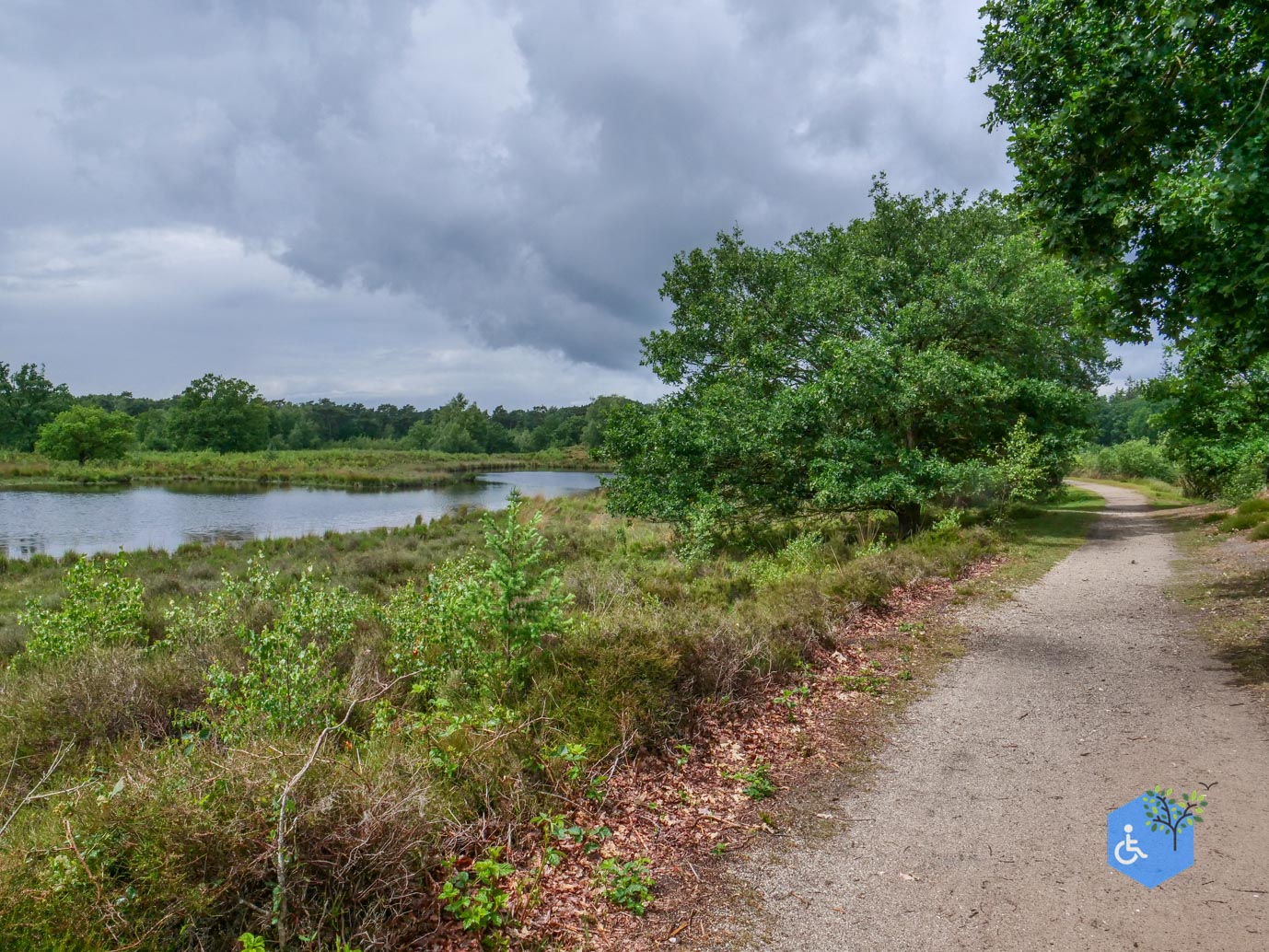 Overasselt_Heriberthapad_05-06-2026-23