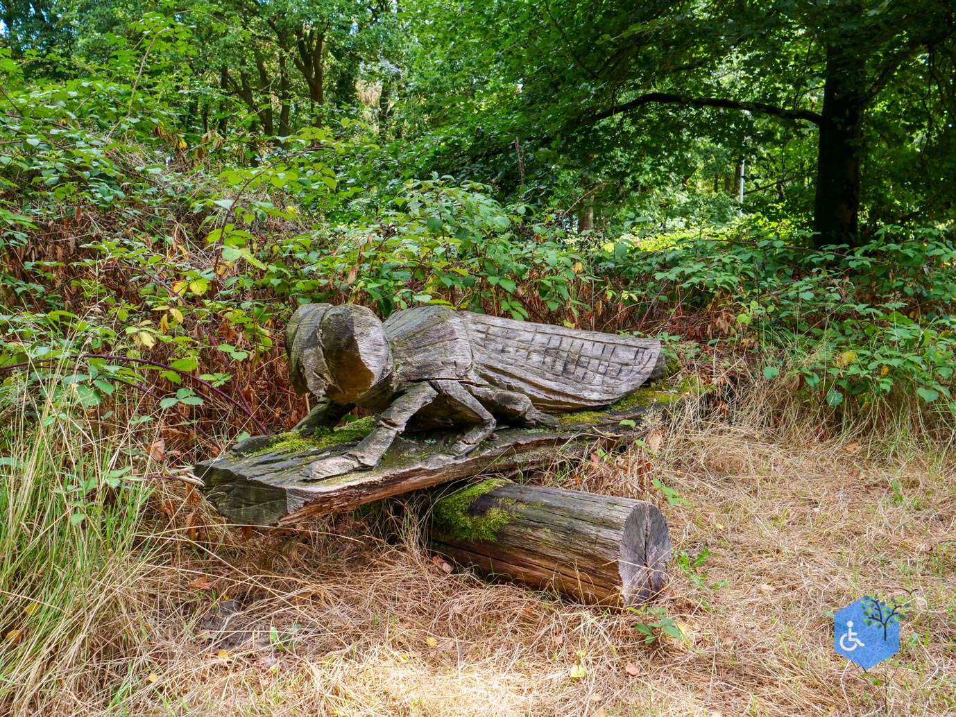 Heerlen_Beleefpad_Brunssummerheide_22-08-2026-08