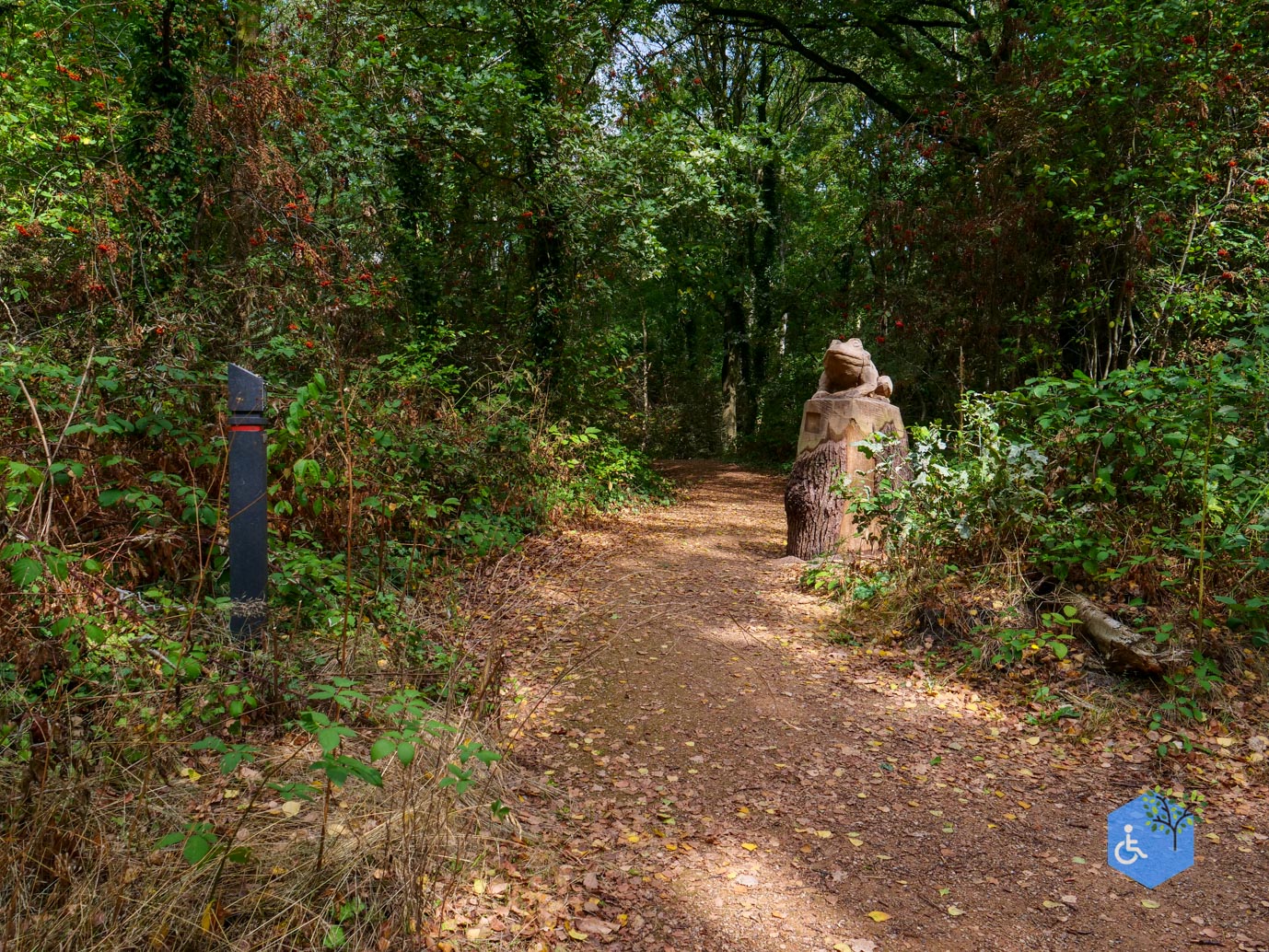 Heerlen_Beleefpad_Brunssummerheide_22-08-2026-10