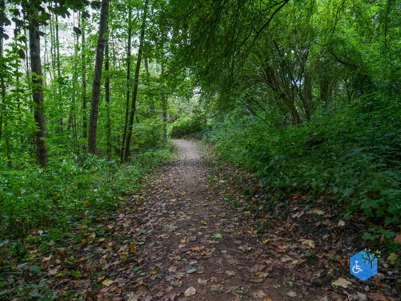 Heerlen_Beleefpad_Brunssummerheide_22-08-2026-19