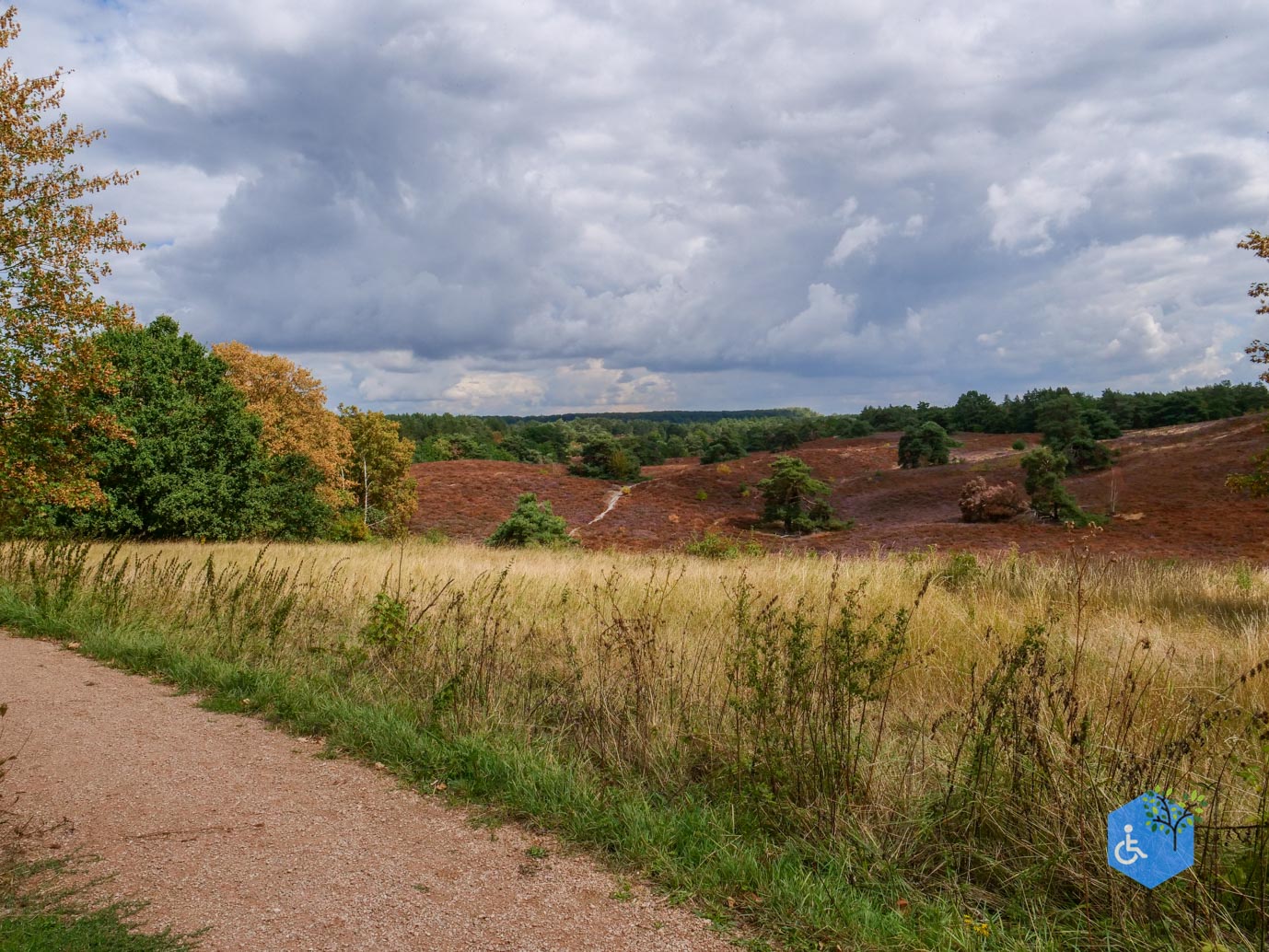 Heerlen_Beleefpad_Brunssummerheide_22-08-2026-30