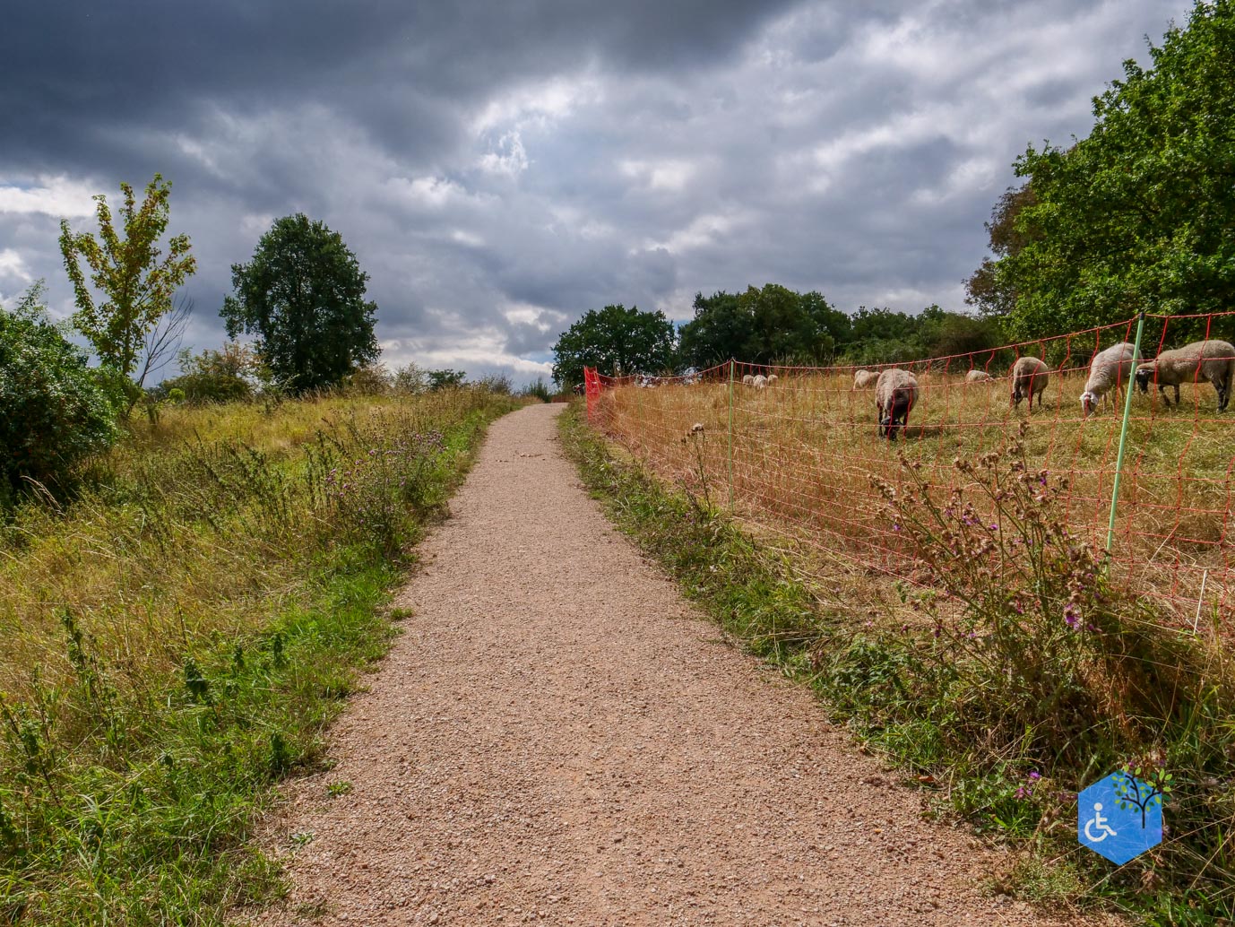 Heerlen_Beleefpad_Brunssummerheide_22-08-2026-31