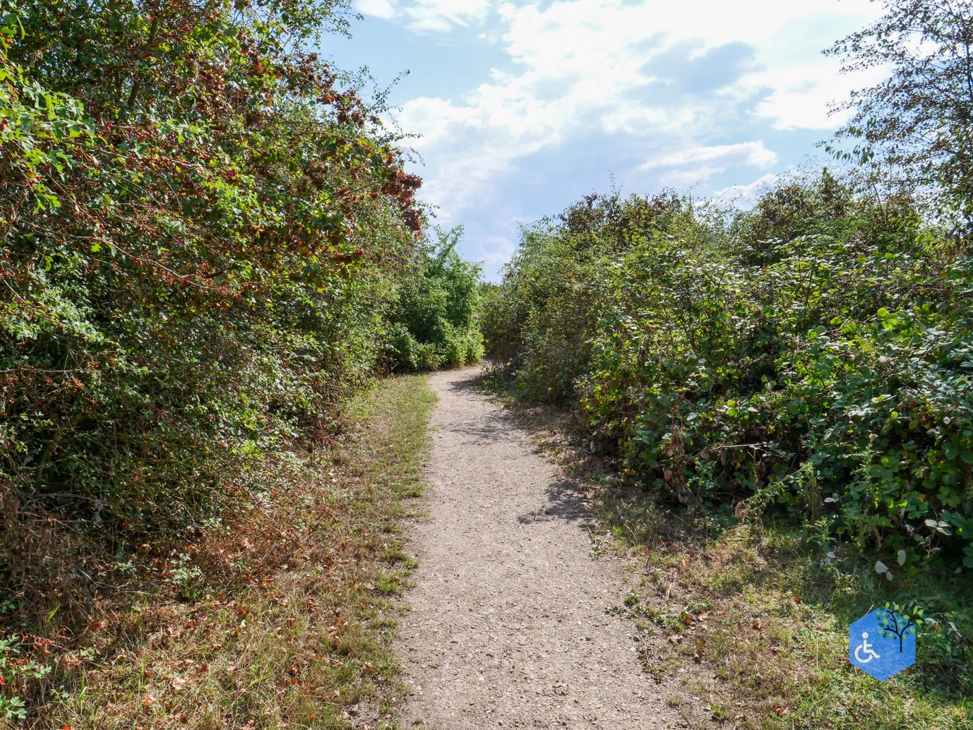 Stevensweert_Wandelpad_langs_de_Molenplas_21-08-2026-015