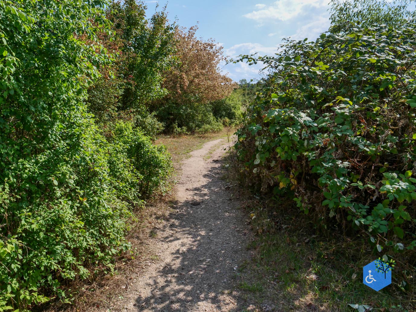 Stevensweert_Wandelpad_langs_de_Molenplas_21-08-2026-017