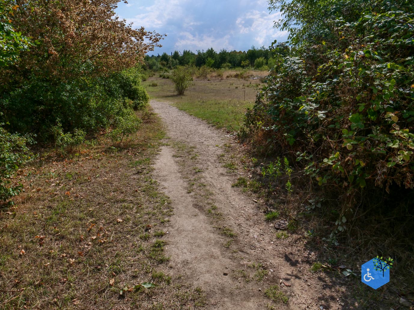 Stevensweert_Wandelpad_langs_de_Molenplas_21-08-2026-018
