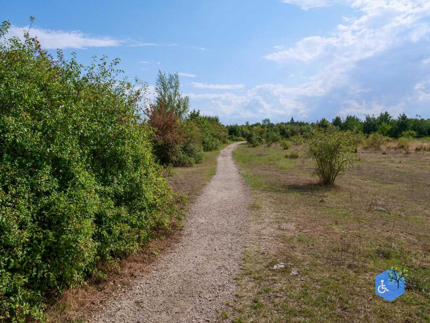 Stevensweert_Wandelpad_langs_de_Molenplas_21-08-2026-019