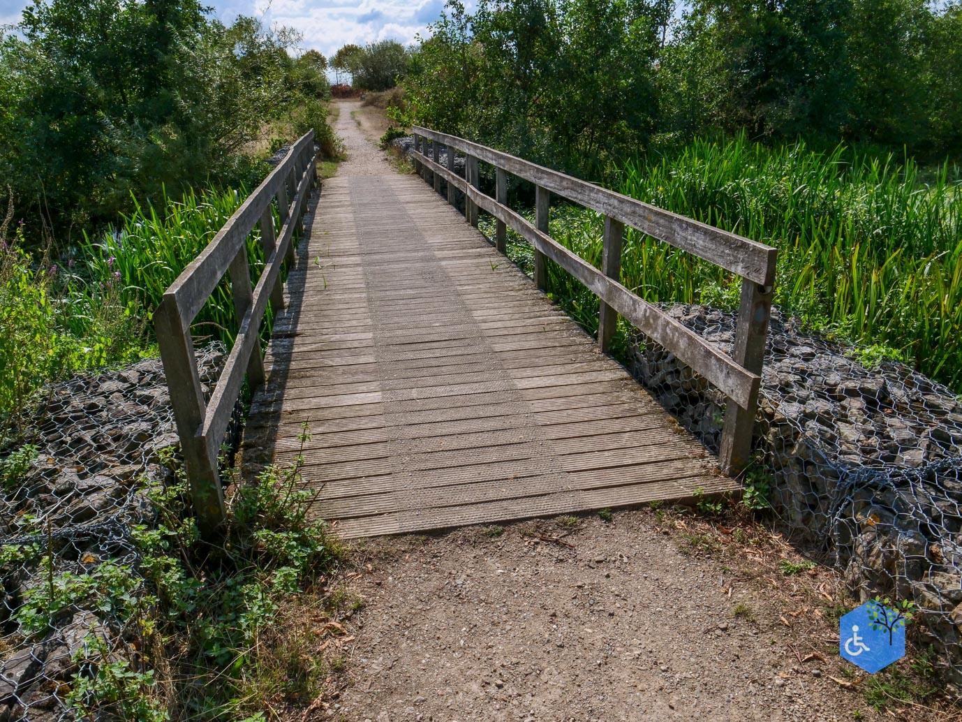 Stevensweert_Wandelpad_langs_de_Molenplas_21-08-2026-025