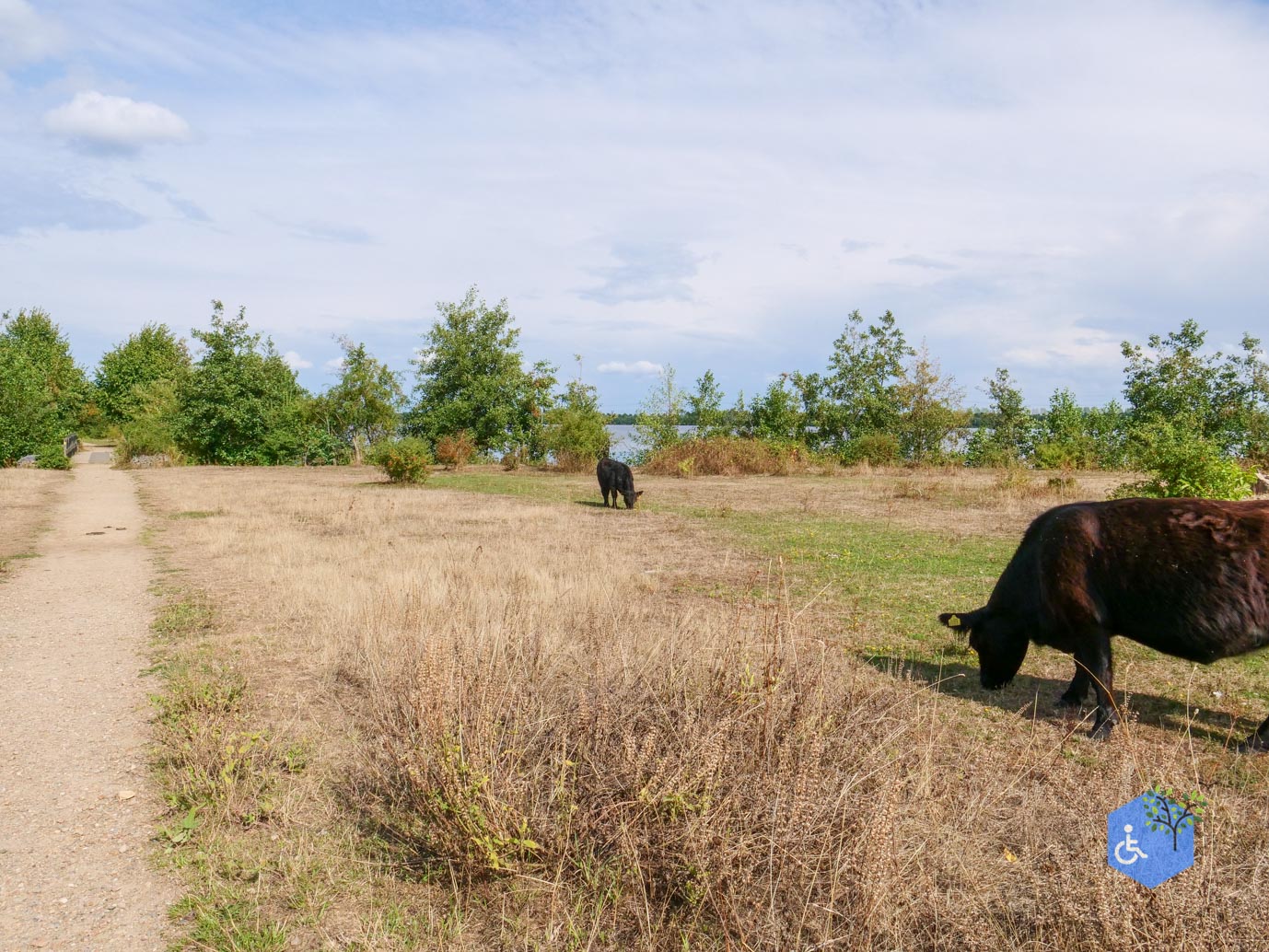 Stevensweert_Wandelpad_langs_de_Molenplas_21-08-2026-028