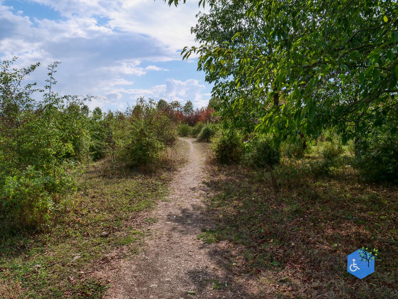 Stevensweert_Wandelpad_langs_de_Molenplas_21-08-2026-038
