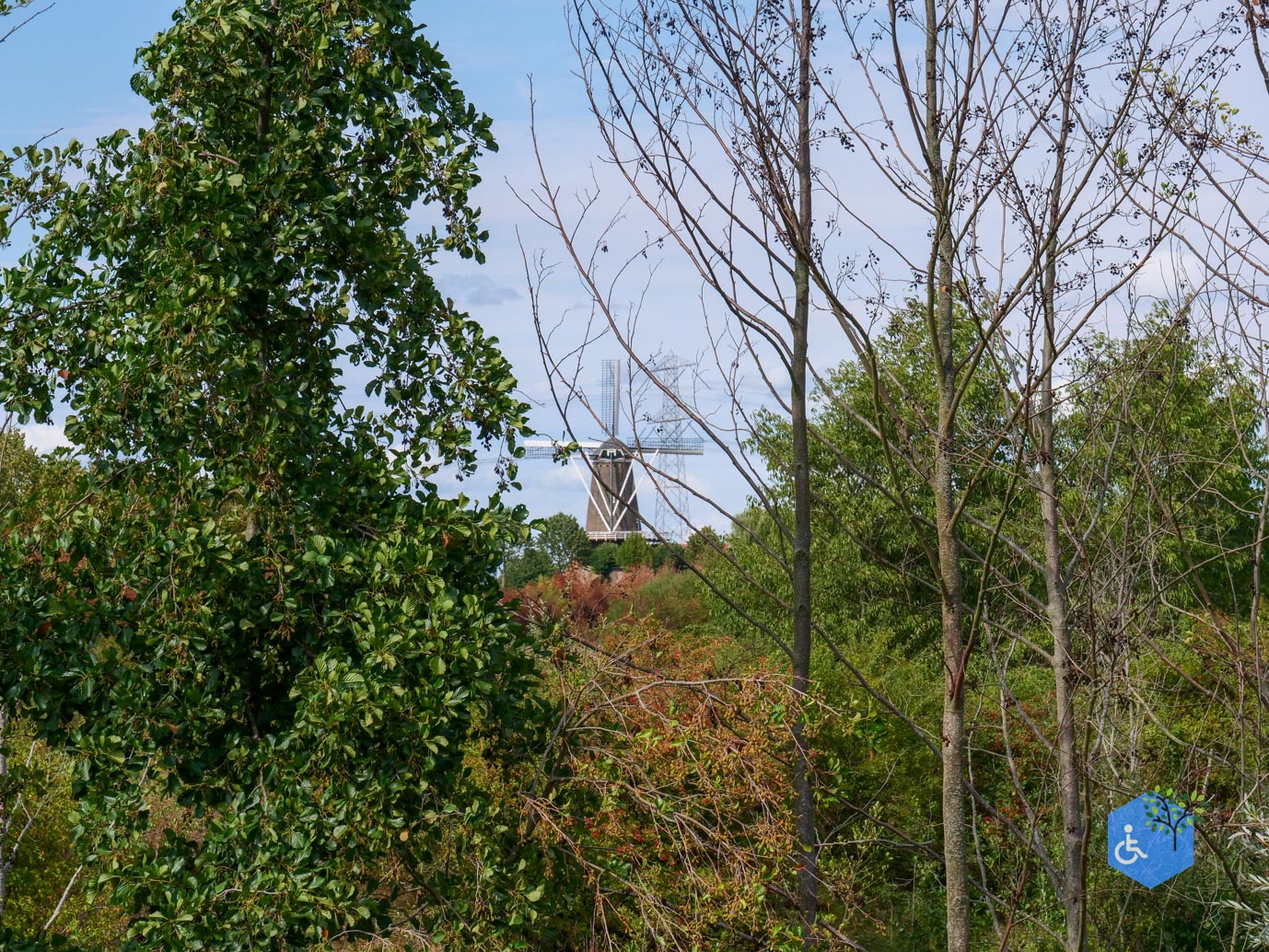 Stevensweert_Wandelpad_langs_de_Molenplas_21-08-2026-040