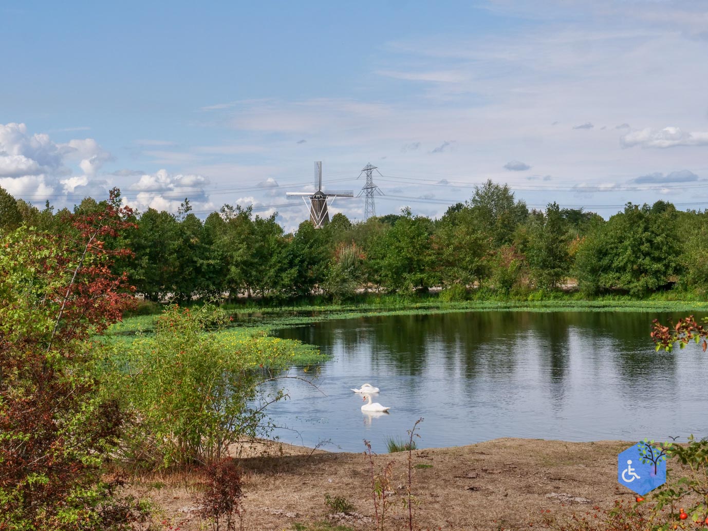 Stevensweert_Wandelpad_langs_de_Molenplas_21-08-2026-051