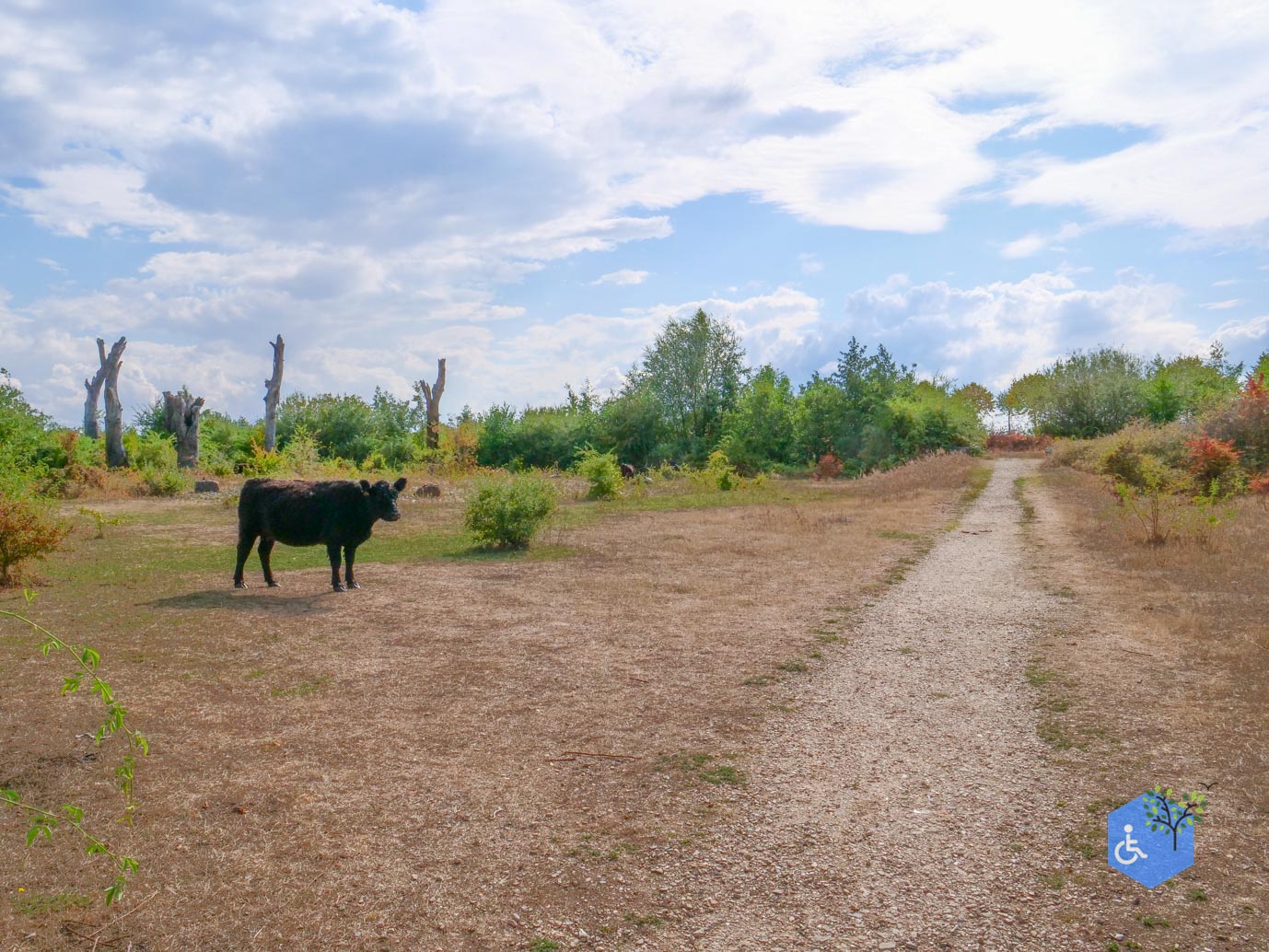Stevensweert_Wandelpad_langs_de_Molenplas_21-08-2026-058