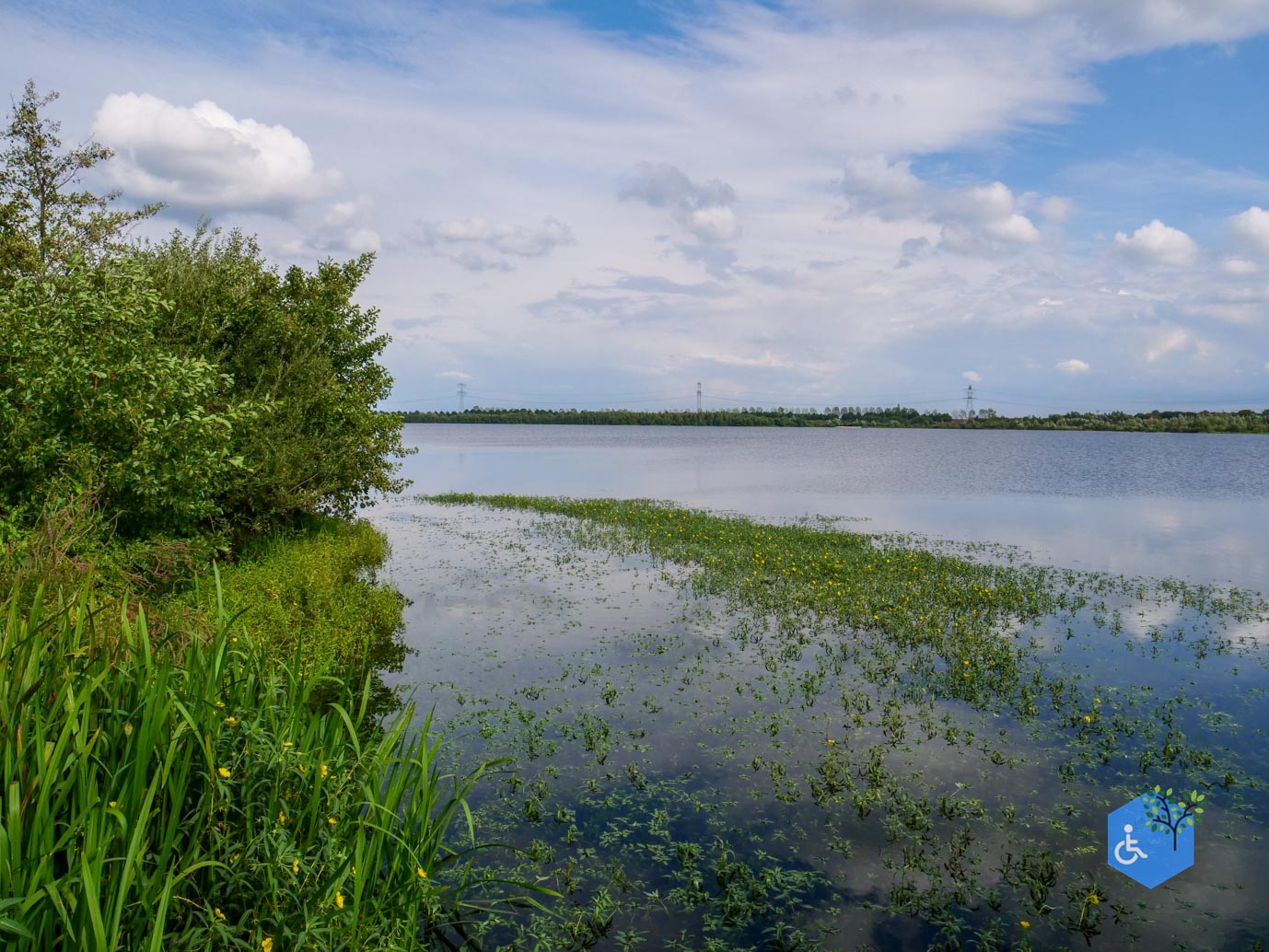 Stevensweert_Wandelpad_langs_de_Molenplas_21-08-2026-061