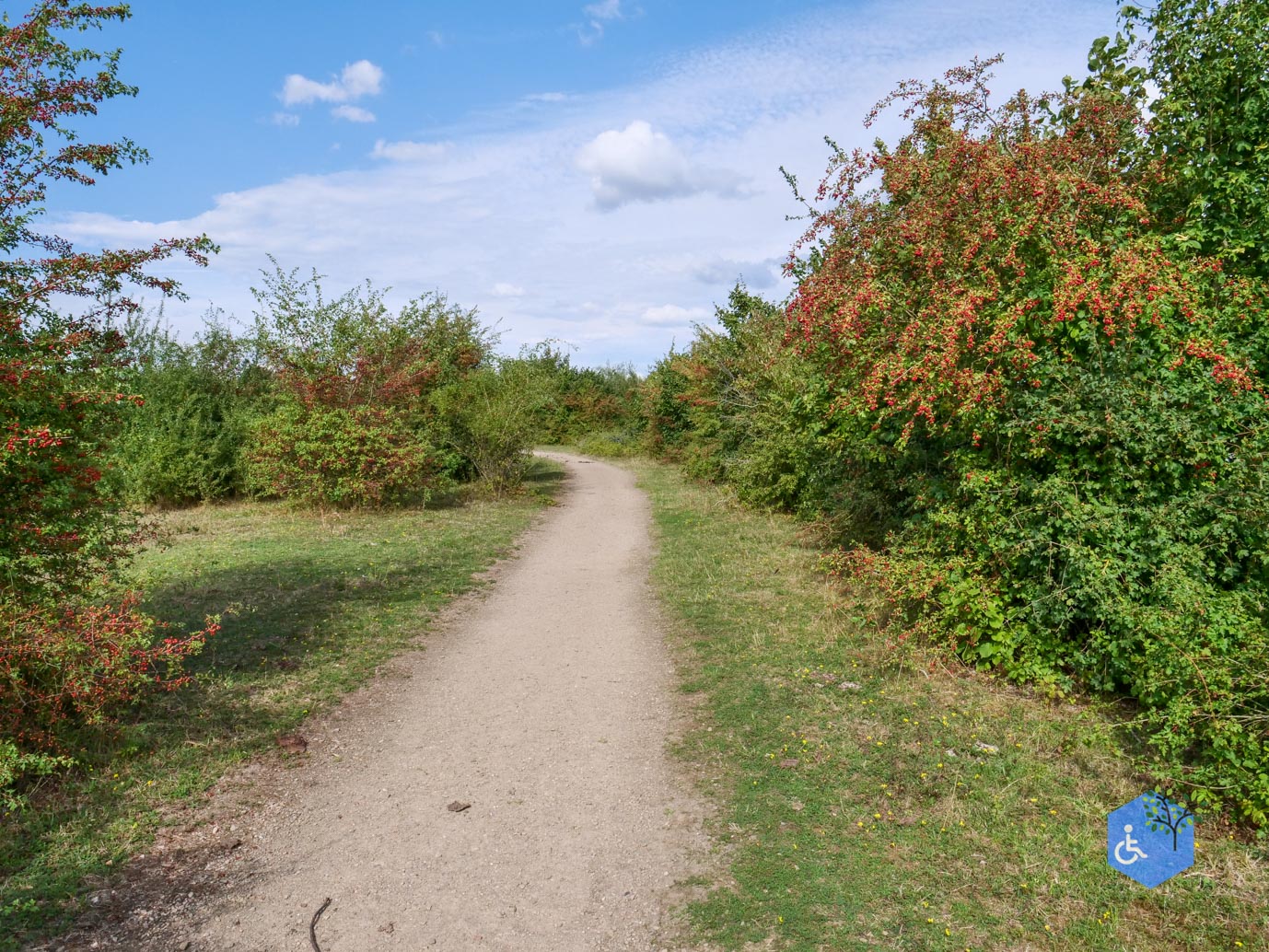 Stevensweert_Wandelpad_langs_de_Molenplas_21-08-2026-064