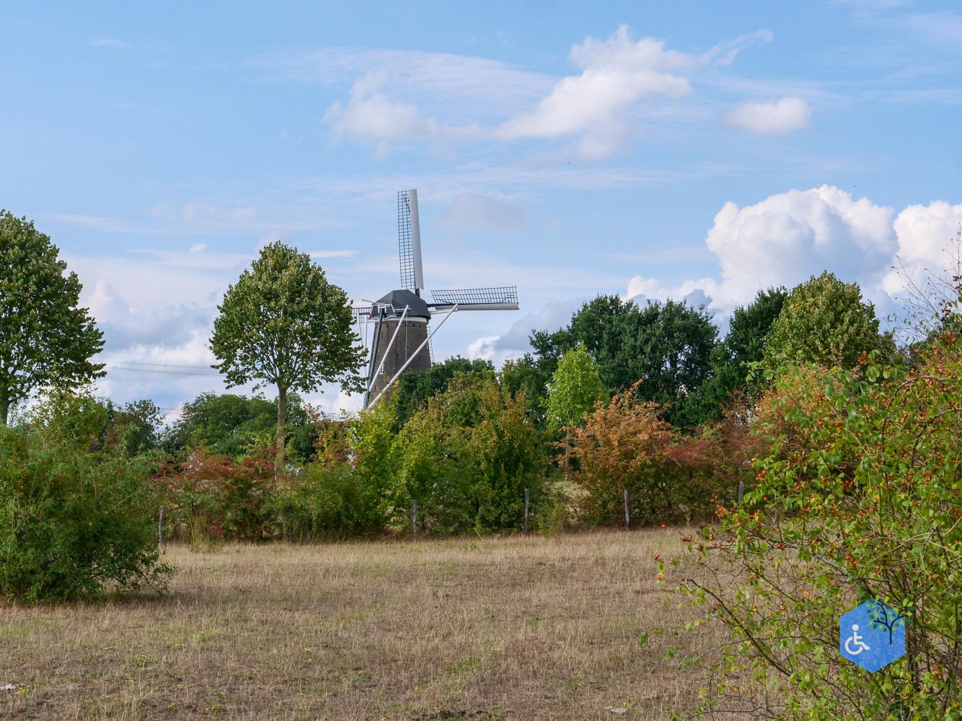 Stevensweert_Wandelpad_langs_de_Molenplas_21-08-2026-073