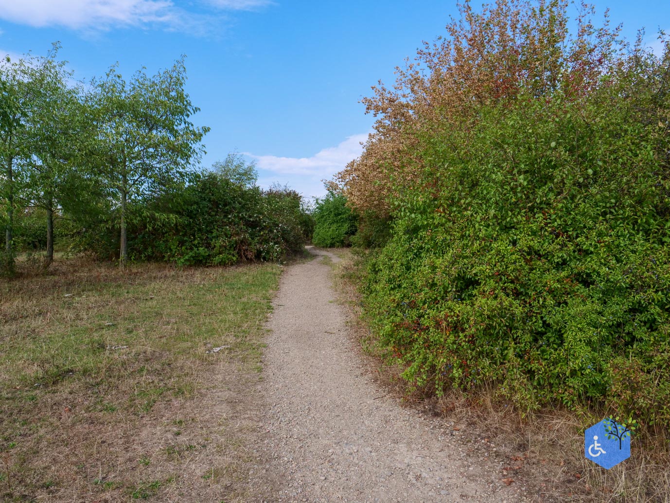 Stevensweert_Wandelpad_langs_de_Molenplas_21-08-2026-074