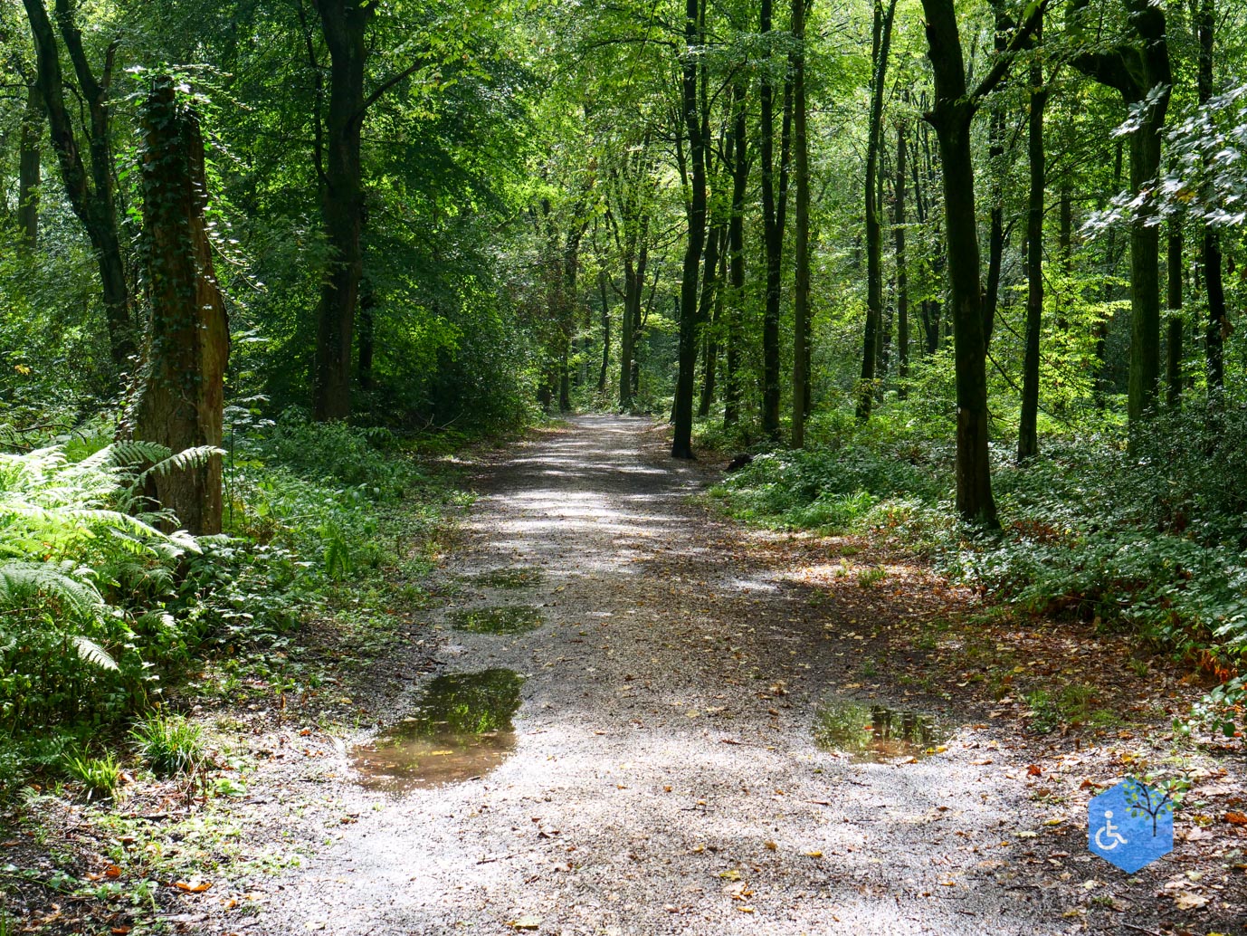 Vijlen_Wandelroute_Malensbos_22-08-2026-04