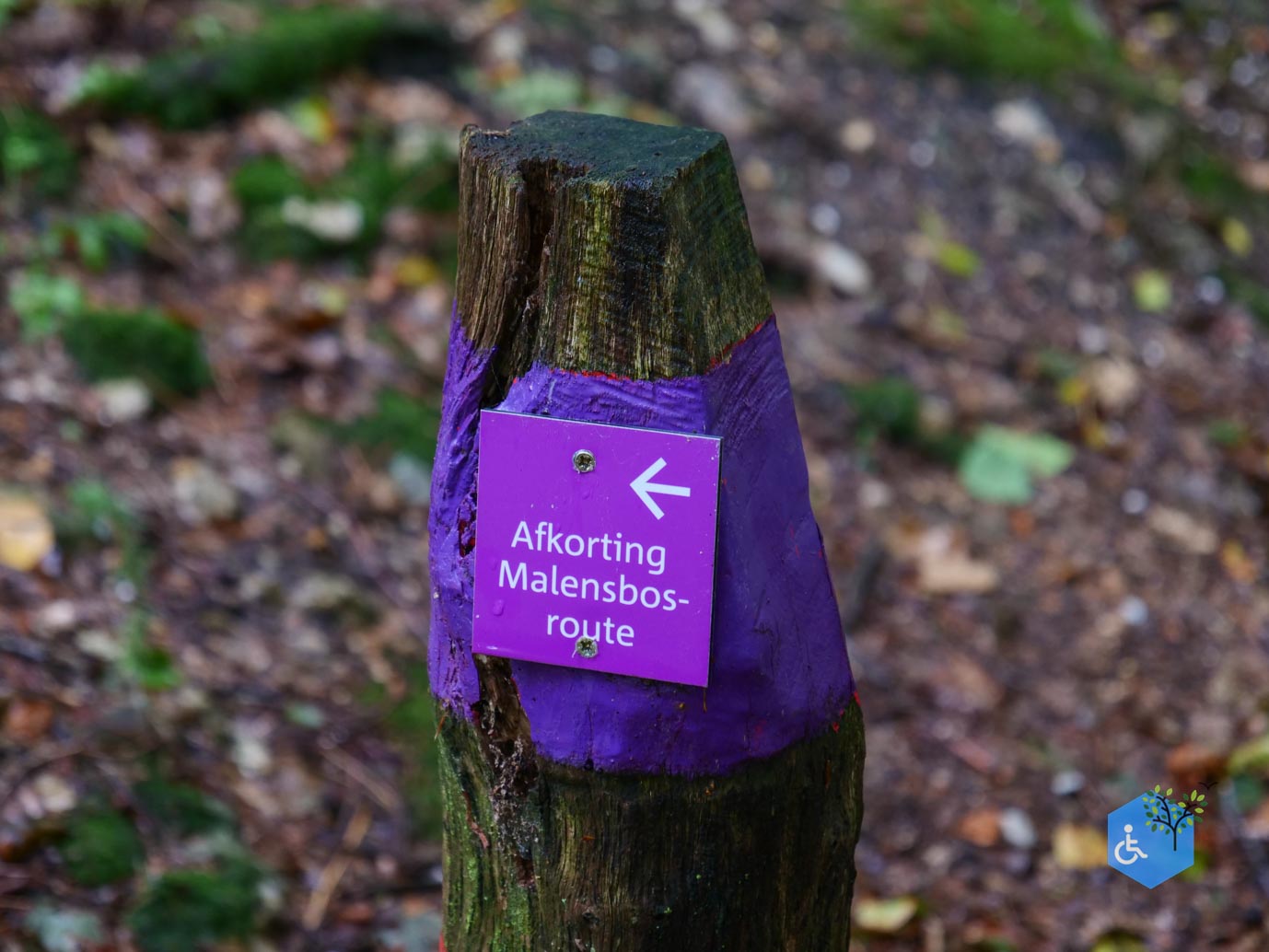 Vijlen_Wandelroute_Malensbos_22-08-2026-15