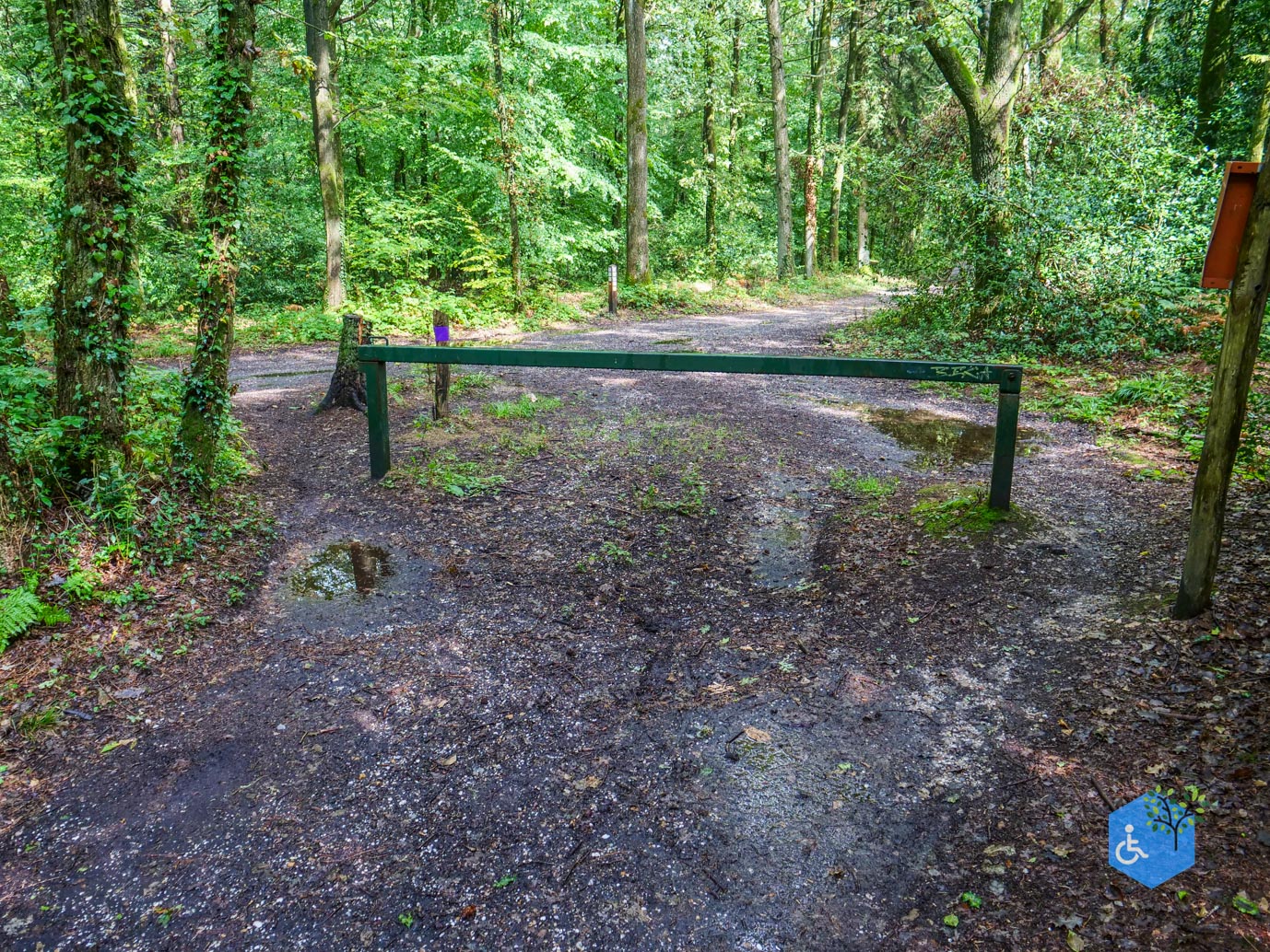 Vijlen_Wandelroute_Malensbos_22-08-2026-20